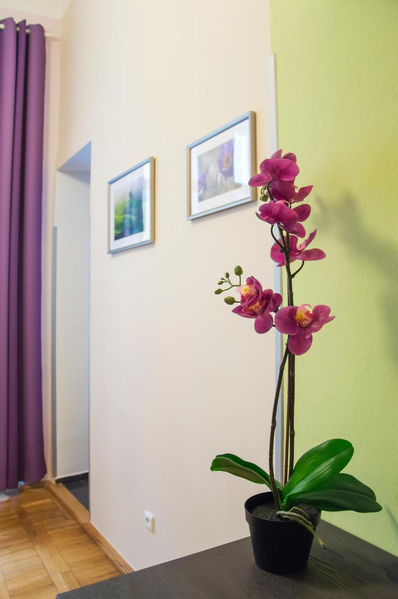 Apartment Jindrisska 25